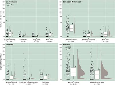 Downstream fish passage at small-scale hydropower plants: Turbine or bypass?